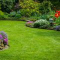 Projektowanie ogrodu – nie działaj na własną rękę, zaufaj specjalistom